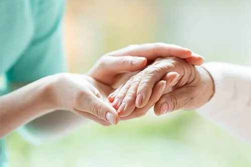 The Power of Companionship: Enhancing the Lives of Seniors